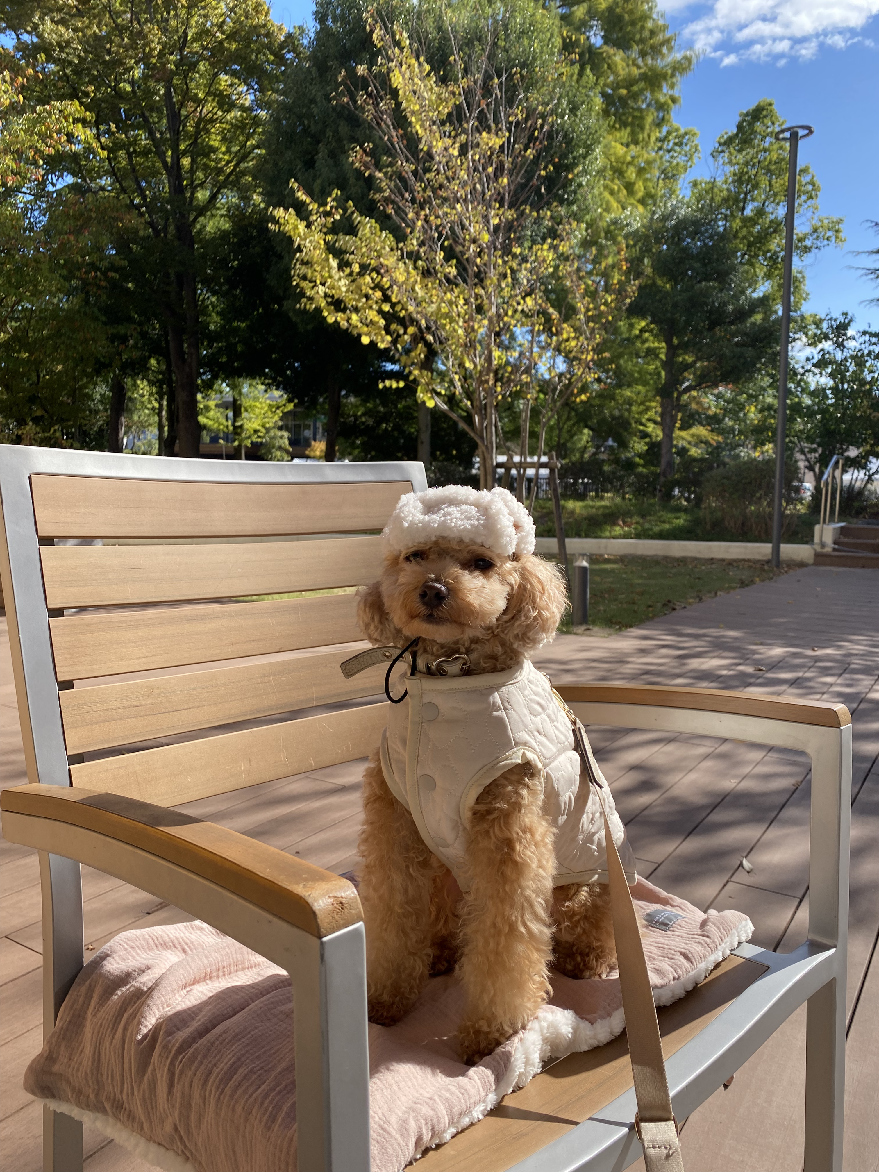 フライトキャップ1